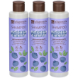 Shampoo bio antiossidante 3x200 ml