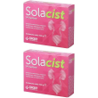 Solacist 14 bustine 2x72,8 g polvere per soluzione orale