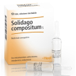 Solidago compatta 10f 2,2ml heel