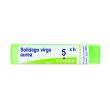 Solidago virga aurea 5ch gr