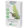 Soria natural 8-s calaguala 30 pz capsule