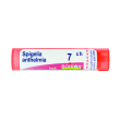 Spigelia anthelmia 7ch 80gr 4g