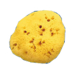 Spugna naturale fori pic 5/6cm 7v