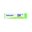 Staphysagria 200ch 80gr 4g