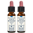Star of bethlehem 10ml gtt 2x10 ml gocce orali