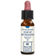 Star of bethlehem 10ml gocce