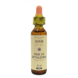 Star of bethlemm ess 15ml aust
