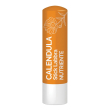 Stick labbra nutriente calend