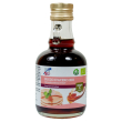 Succo d'acero grado c bio250ml