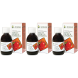 Succo mela chiodata 200 ml 3x200 ml sciroppo