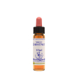 Sweet chest essenza 10ml