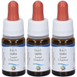 Sweet chestnut guna gocce 10 ml 3x10 ml orali