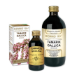 Tamerice 100ml analco gemmo10+