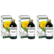Tarassaco estratto integrale 200 ml 3x200 ml soluzione orale
