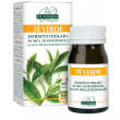 The verde estr.tit 60past.svs