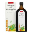 Theiss piantaggine 250ml