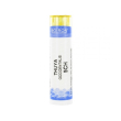 Thuya occident 200ch gr