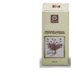 Tiglio gemme estr analco 50ml