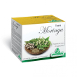 Tisana moringa 20 bustine