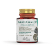 Tisano complex chaga antiox 60 capsule