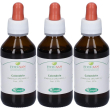 Tm calendula (calendula officinalis) 3x100 ml gocce orali