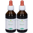 Tm ribes (ribes nigrum) 2x100 ml latte
