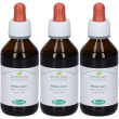 Tm ribes (ribes nigrum) 3x100 ml latte