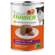Trainer natural cane medium/maxi mature pollo 400gr (lattina)