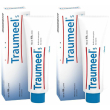 Traumeel® s set da 2 2x100 g crema