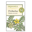 Tribulus 50 capsule veg