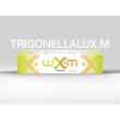 Trigonellalux m 75ml