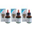Tsa fucus vesiculos gocce 3x50 ml orali
