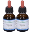 Tsa glycyrrhiza glabra gocce 2x50 ml soluzione orale