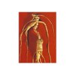 Tsa panax ginseng 50m