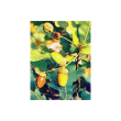 Tsa quercus robur 50ml