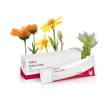 Urtica compatta gel 30g wala