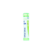 Urtica urens 5ch 80gr 4g