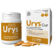 Urys caps 30 capsule