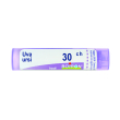 Uva ursina 30ch gr