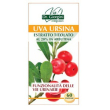 Uva ursina estratto tit 60 pastiglie