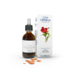 Uva ursina soluzione ial 50ml