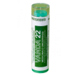 Vanda 22 gr 4g