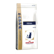 Veterinary df dry renal 4kg