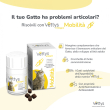 Vettys integra mobilita' gatto