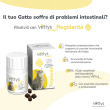 Vettys integra intestino gatto