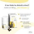 Vettys integra vie urin gatto