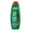 Vidal bagnoschiuma rivitalizzante 500ml.pino classico