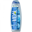 Vidal doc sensitive talco500ml
