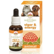 Vigor & energy 30ml