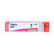 Vipera redi 7ch gr